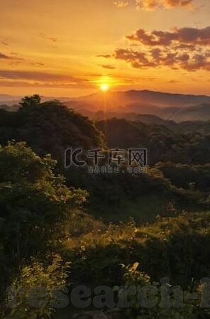433足球直播比分-从数据到激情，433足球直播比分背后的足球文化狂欢