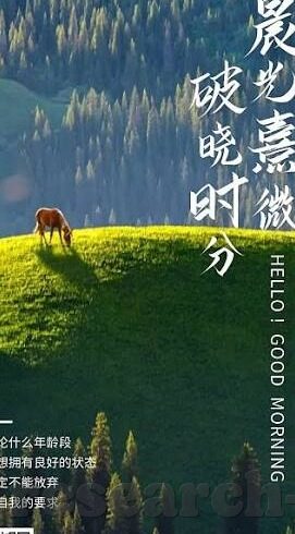 中国伊拉克足球比分-跨越山海的对决，中国与伊拉克足球比分的背后故事