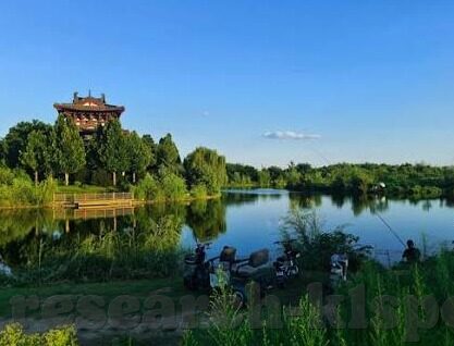 足球直播比分捷报-足球直播比分捷报，绿茵场上的实时心跳与激情交响